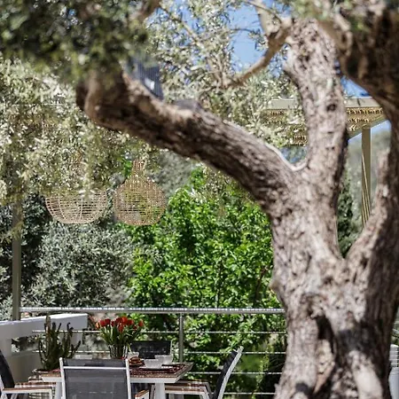 Rizes Villa, Jacuzzi & Pool Amid Olive Trees Agia Triada